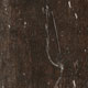 Kronoflooring Kronostep Narrow | <strong>8835 ������ ���  </strong>