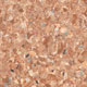 Tarkett iQ Monolit | <img src='img/monolit/medium/monolit_925Z.jpg'> | <strong>�������: 3415925  </strong>