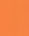 Tarkett OmniSports Training | <img src='img/omnisport50/medium/3708012.jpg'> | <strong>�������: 3708012<br>Orange<br>���������  </strong>