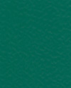 Tarkett OmniSports Training | <img src='img/omnisport50/medium/3708014.jpg'> | <strong>�������: 3708014<br>Forest Green<br>������� ���  </strong>