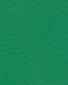 Tarkett OmniSports Competition | <img src='img/omnisport88/medium/3705002.jpg'> | <strong>�������: 3705002<br>Field Green<br>������� ����  </strong>