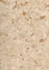 Tarkett Primo Plus | <img src='img/primo_plus/medium/302.jpg'> | <strong>�������: 3793302  </strong>