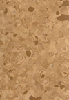 Tarkett Primo Plus | <img src='img/primo_plus/medium/303.jpg'> | <strong>�������: 3793303  </strong>