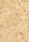 Tarkett Primo Plus | <img src='img/primo_plus/medium/304.jpg'> | <strong>�������: 3793304  </strong>