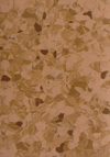 Tarkett Primo Plus | <img src='img/primo_plus/medium/305.jpg'> | <strong>�������: 3793305  </strong>