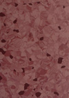 Tarkett Primo Plus | <img src='img/primo_plus/medium/306.jpg'> | <strong>�������: 3793306  </strong>