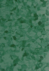 Tarkett Primo Plus | <img src='img/primo_plus/medium/312.jpg'> | <strong>�������: 3793312  </strong>