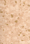 Tarkett Primo Plus | <img src='img/primo_plus/medium/318.jpg'> | <strong>�������: 3793318  </strong>